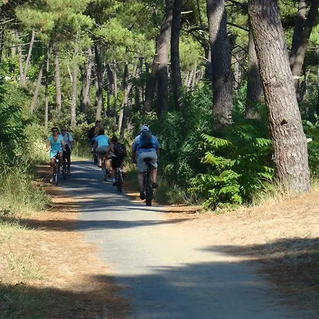 Lejlighed Mobil 45 M2 Tres Luxueux 3 Ch Et 2 Sdb - 4 Etoiles Les Charmettes 499 Proche Fun Zone- *