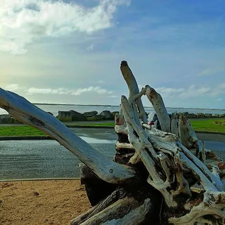 Appartement Mobil 45 M2 Très Luxueux 3 Ch Et 2 Sdb - 4 étoiles Les Charmettes 499 Proche Fun Zone- *