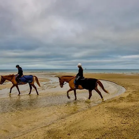 Mobil 45 M2 Très Luxueux 3 Ch Et 2 Sdb - 4 étoiles Les Charmettes 499 Proche Fun Zone- Appartement *