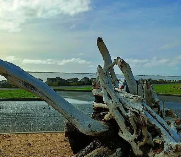 דירה Mobil 45 M2 Tres Luxueux 3 Ch Et 2 Sdb - 4 Etoiles Les Charmettes 499 Proche Fun Zone- *