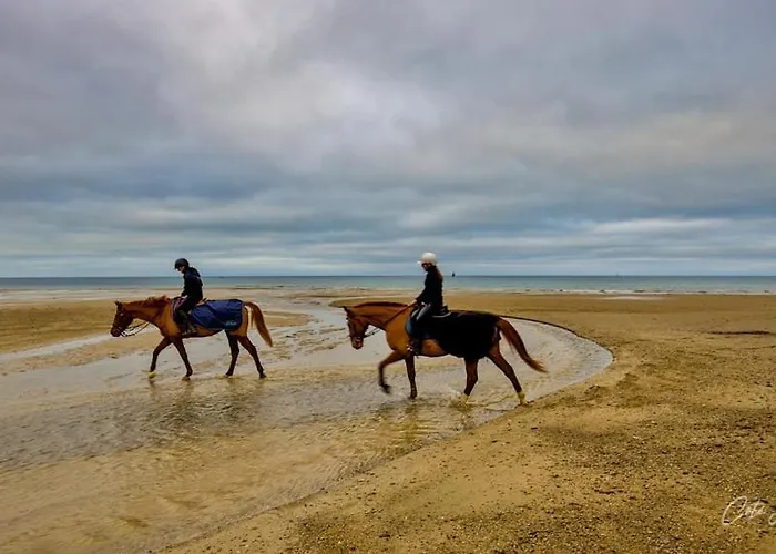 Mobil 45 M2 Tres Luxueux 3 Ch Et 2 Sdb - 4 Etoiles Les Charmettes 499 Proche Fun Zone- דירה *